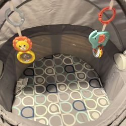 Fisher Price Portable Bassinet 