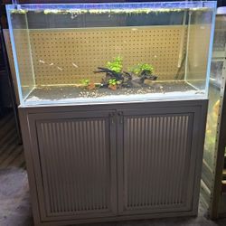 58 Gallon Rimless Aquarium 