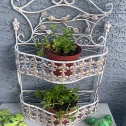 Plants And Display Metal 