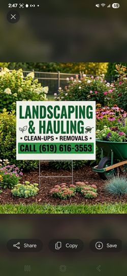 Hauling ,weed removal