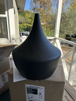 2 Pendant Lights New