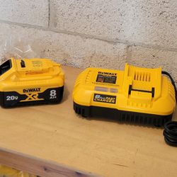New DeWalt DCB208 20V MAX XR 8.0 AH Compact Lithium Ion Power Tool Battery + Fast Charger 