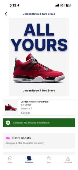 Jordan retro 4 toro bravo