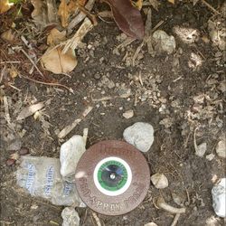 Need New Sprinklers For Grass 