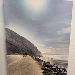 Torrey Pines State Beach - 16x20 Canvas Wall Art (Local SD Photo)