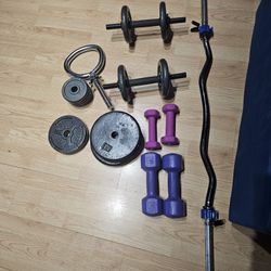 Curved Barbell, Adjustable Dumbell And Kettlebell And Weights