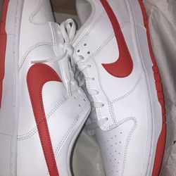 Mens Nike Dunks 