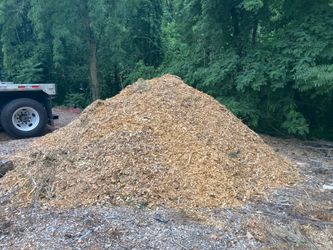 Wood Chips for Mulch! Free