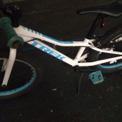 20" Trek Bicycle 