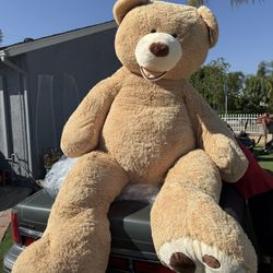 Teddy Bear 