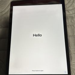 iPad 