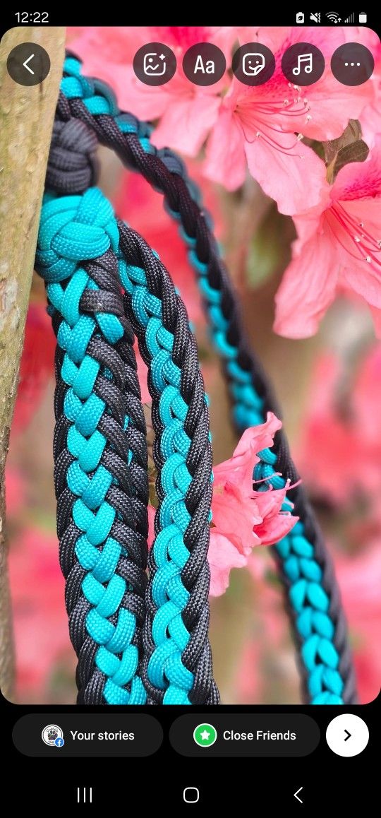 Hand Braided Dog Leash