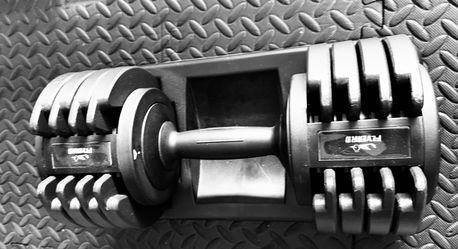 Pair of FLYBIRD Adjustable Dumbbells 55 lb Each – Excellent Condition