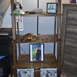 Ladder Shelf Unit