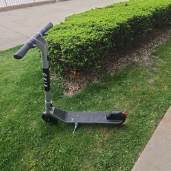 Bird Electric Scooter 