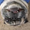 Misty(Pick Up/Meet/Cash/Zelle)
