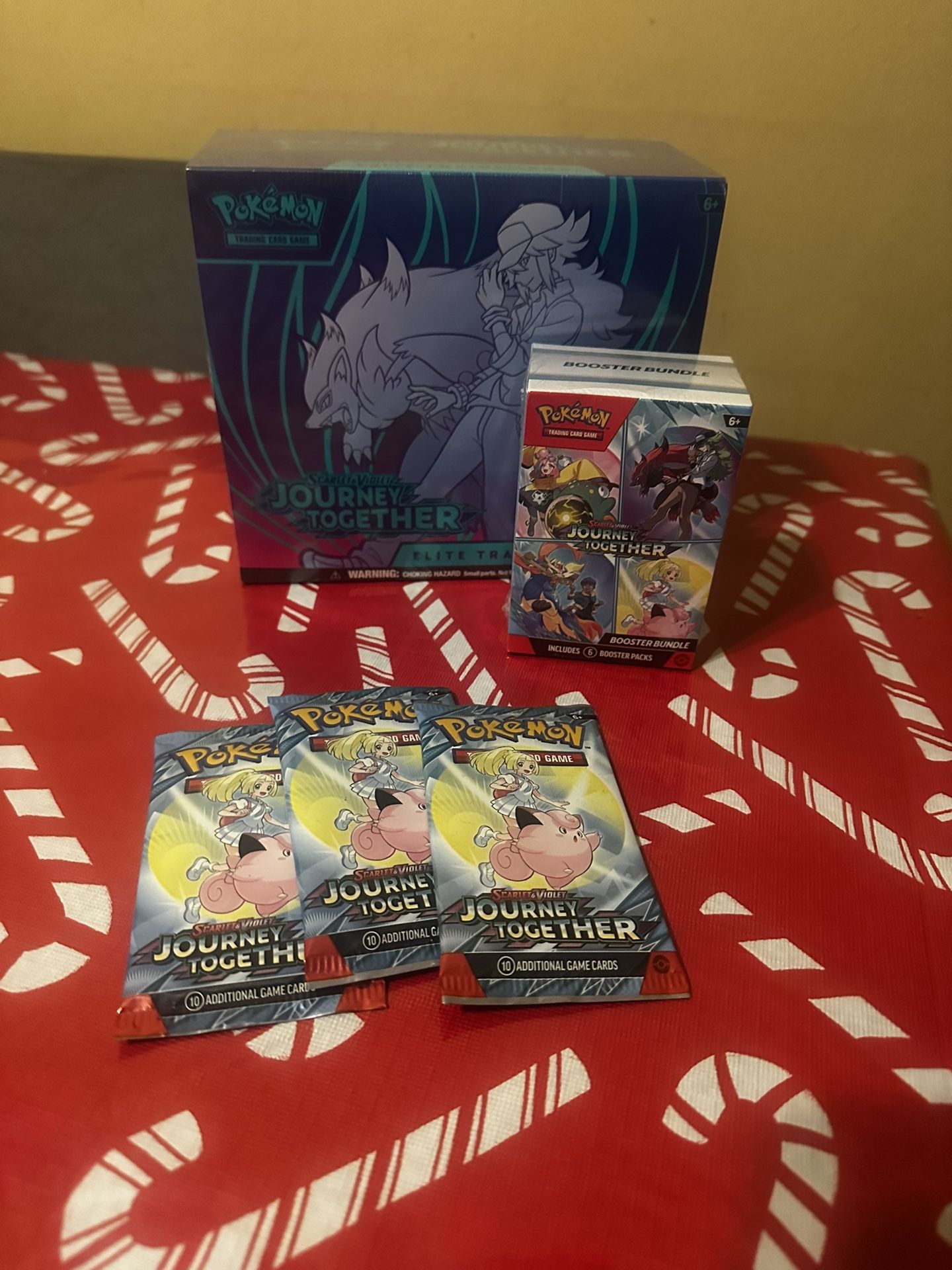 Journey Together Pokemon 