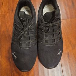 Men's Pumas 8.5