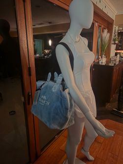 Coach tour tote