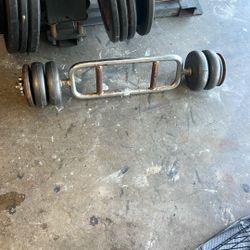 Weights 