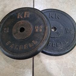 2 Vintage 25lbs Plates