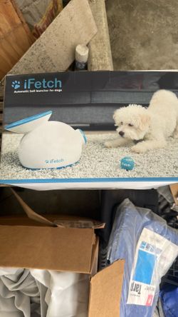 iFetch