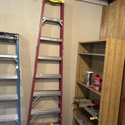 8’ Warner Ladder 