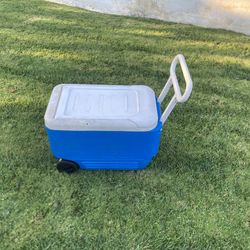Free Igloo ice chest