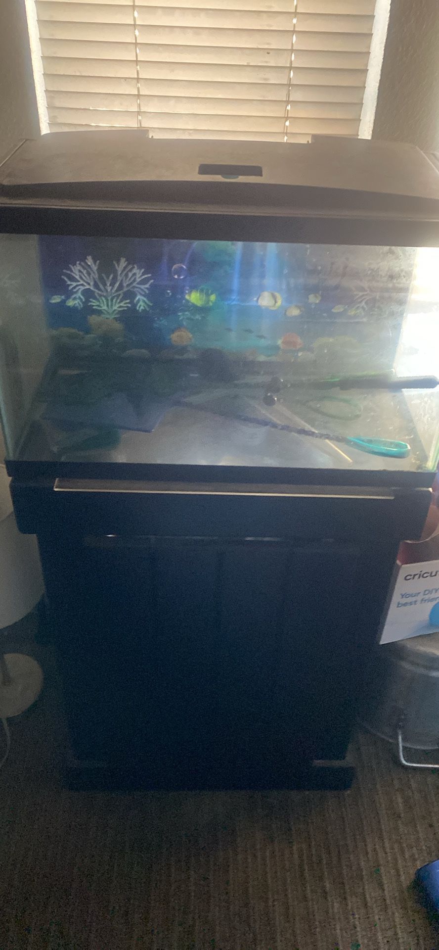 10 Gallon Tank With Stand with Open Door