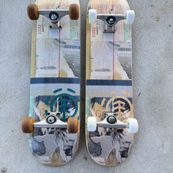 Two Element Skateboards !