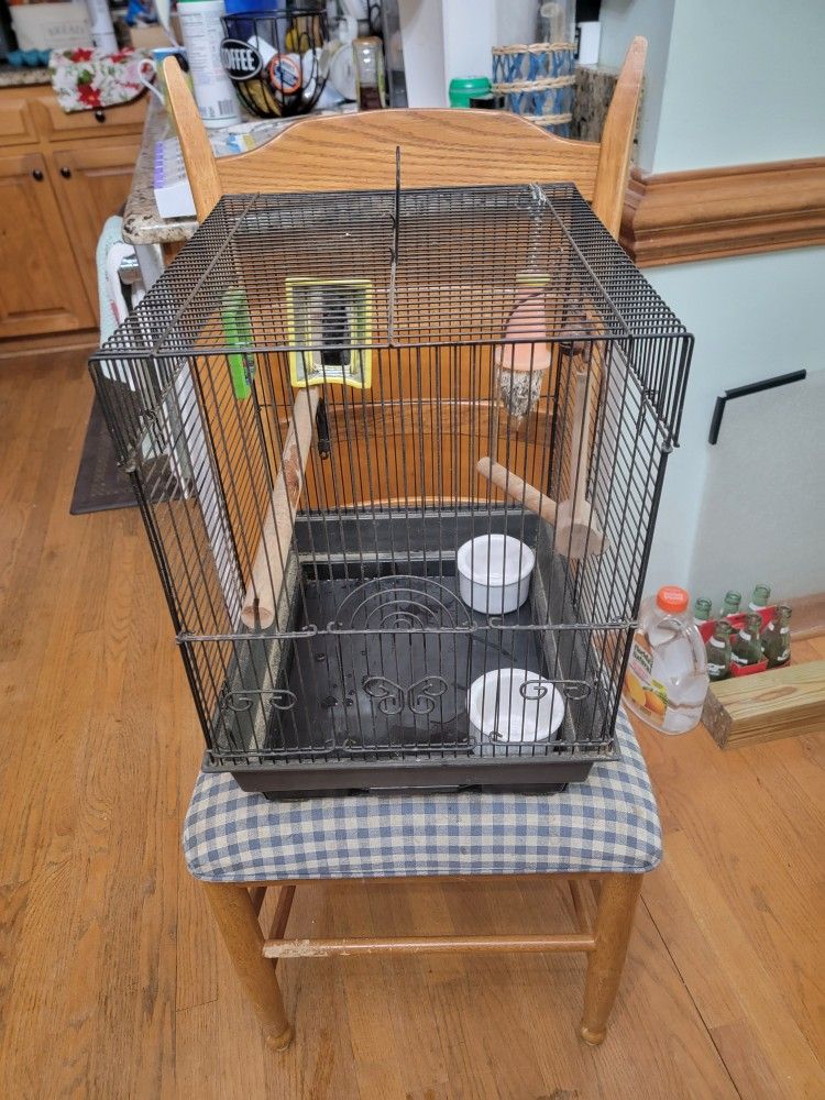 Bird Cage