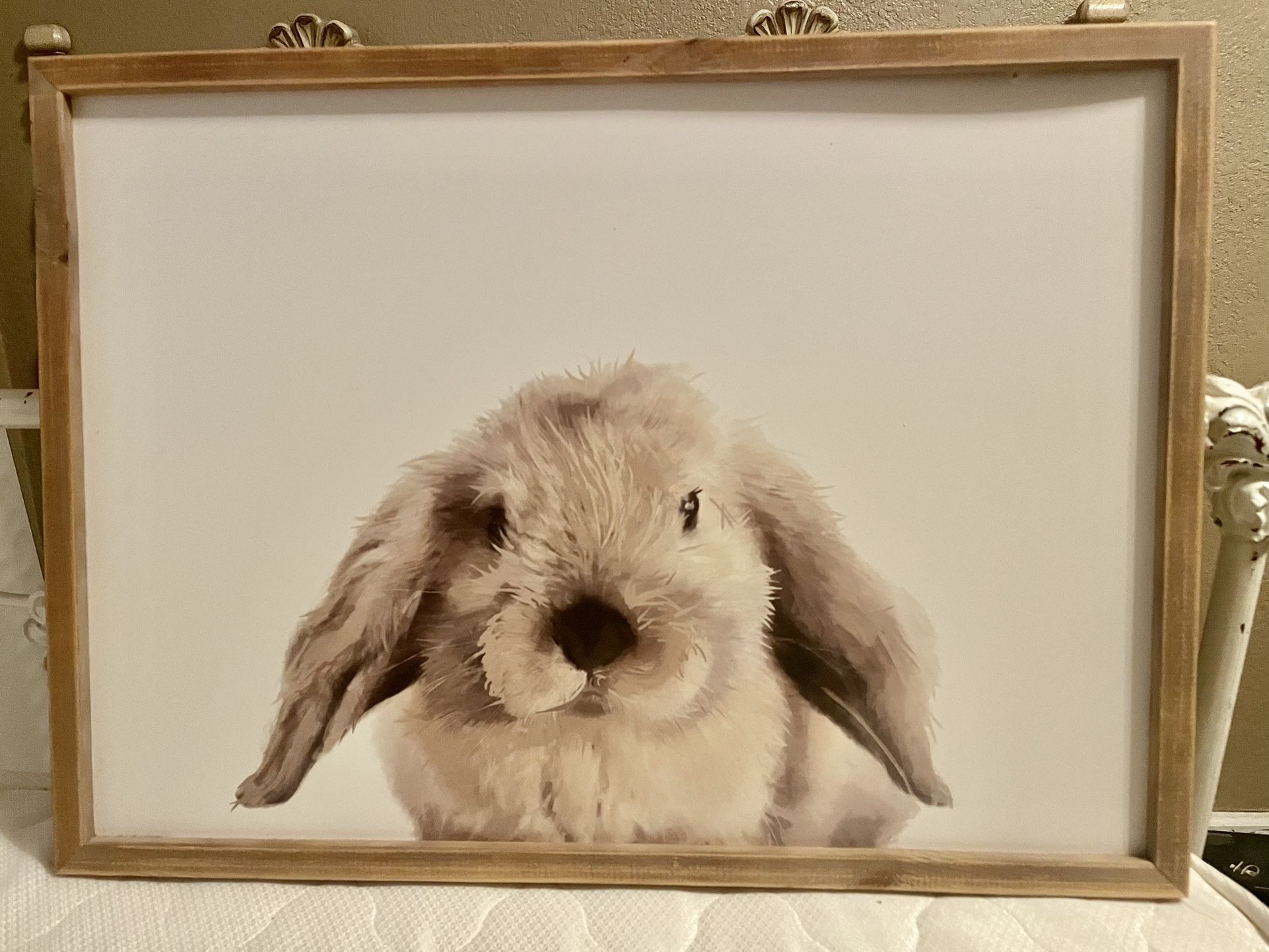 Baby Animal Artwork