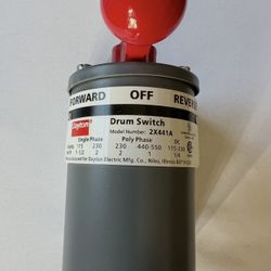 Dayton Drum Switch 2X441A