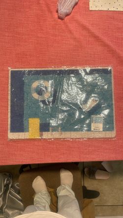 Cat Litter Mat
