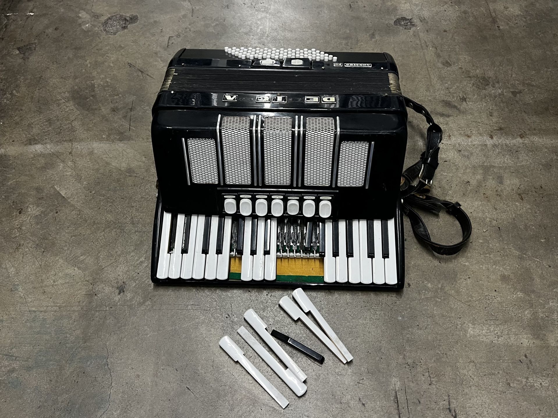 Delicia arnaldo accordion Acordeón