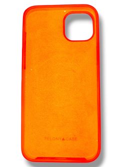 Felony case