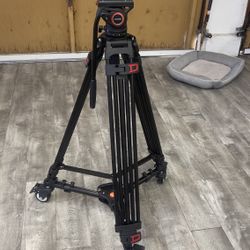 Neewer Fluid Head Video Tripod With Dolly