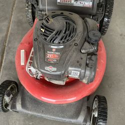 Lawn Mower Gas