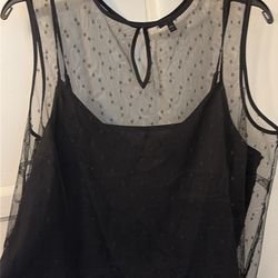 Express women’s dressy blouse