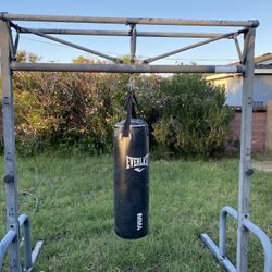 Everlast Punching Bag And Tower