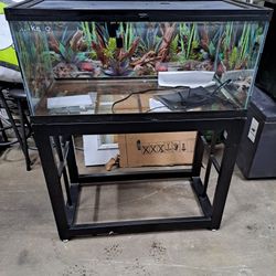 Fish Tank