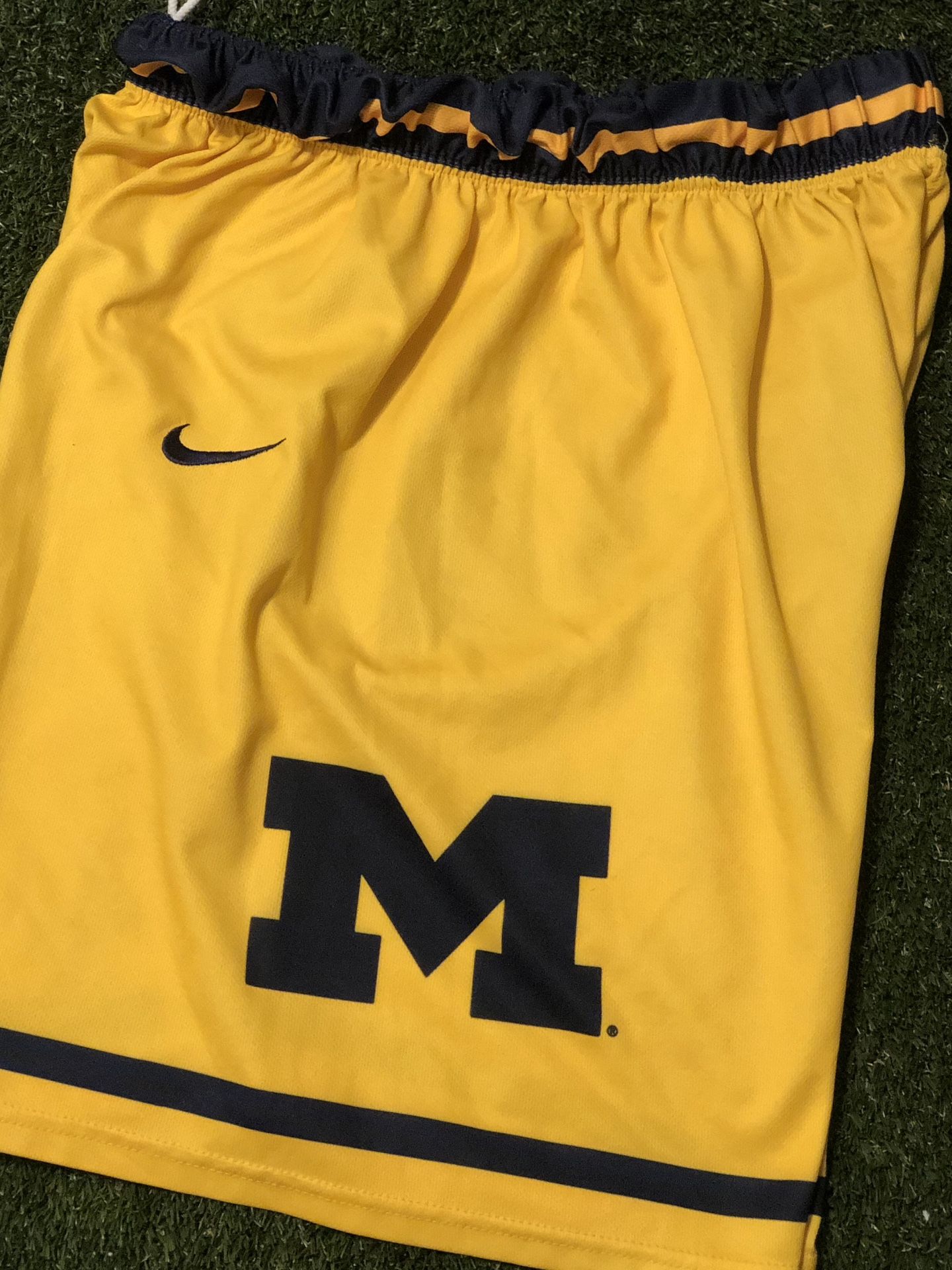 Vintage Nike Michigan “Fab 5” Shorts (Large)
