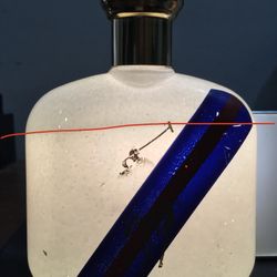 Ralph Lauren Polo Blue Sport Eau de Toilette EDT Men Cologne Fragrance Perfume Spray 4.2 oz 125 ml