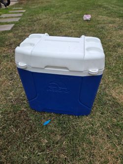 Igloo Hard Cooler Blue and White