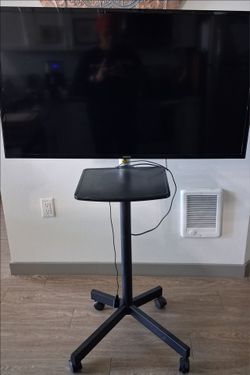 Mobile TV stand