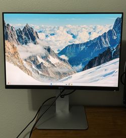 Dell 24 Inch Monitor