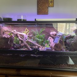 Exo Terra 36×18×18 Bioactive Terrarium – Live Plants + Lighting