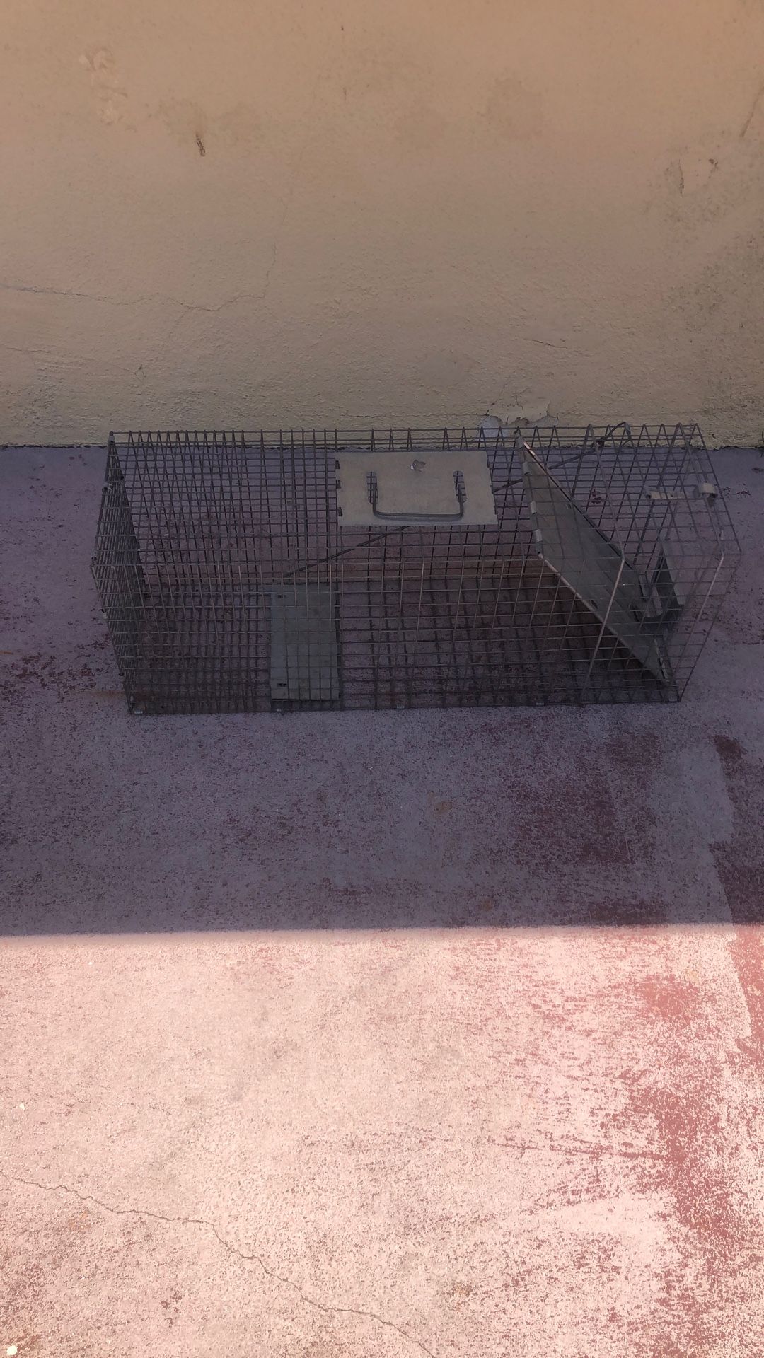 Animal Trap 