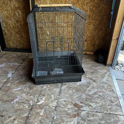 Bird Cage 