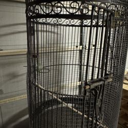 BIG Bird Cage